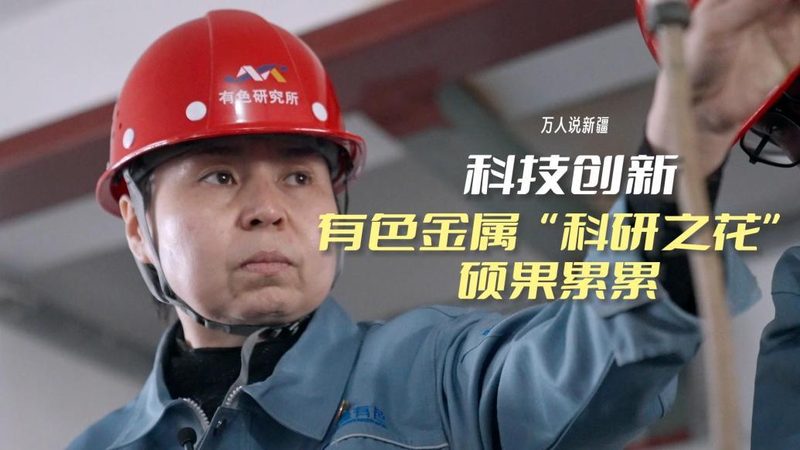 数据湖与数据仓库：揭秘两者之间的本质区别